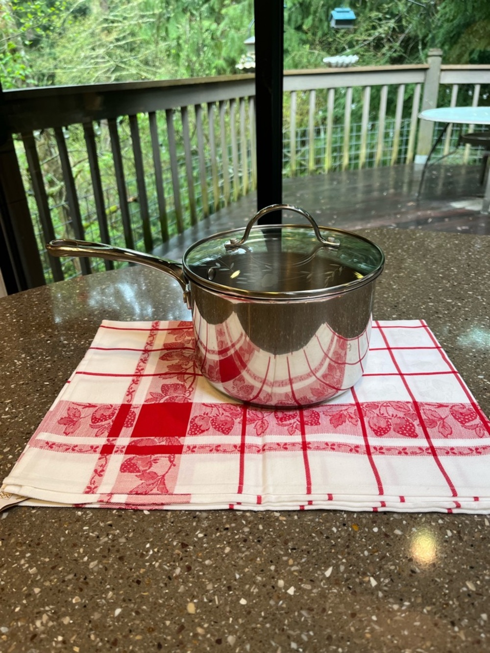 Princess House Stainless Steel Saucepan with Glass Lid - Silver